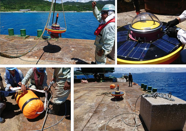 小型波高観測装置 デジクラゲ　係留イメージ